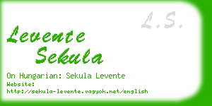 levente sekula business card